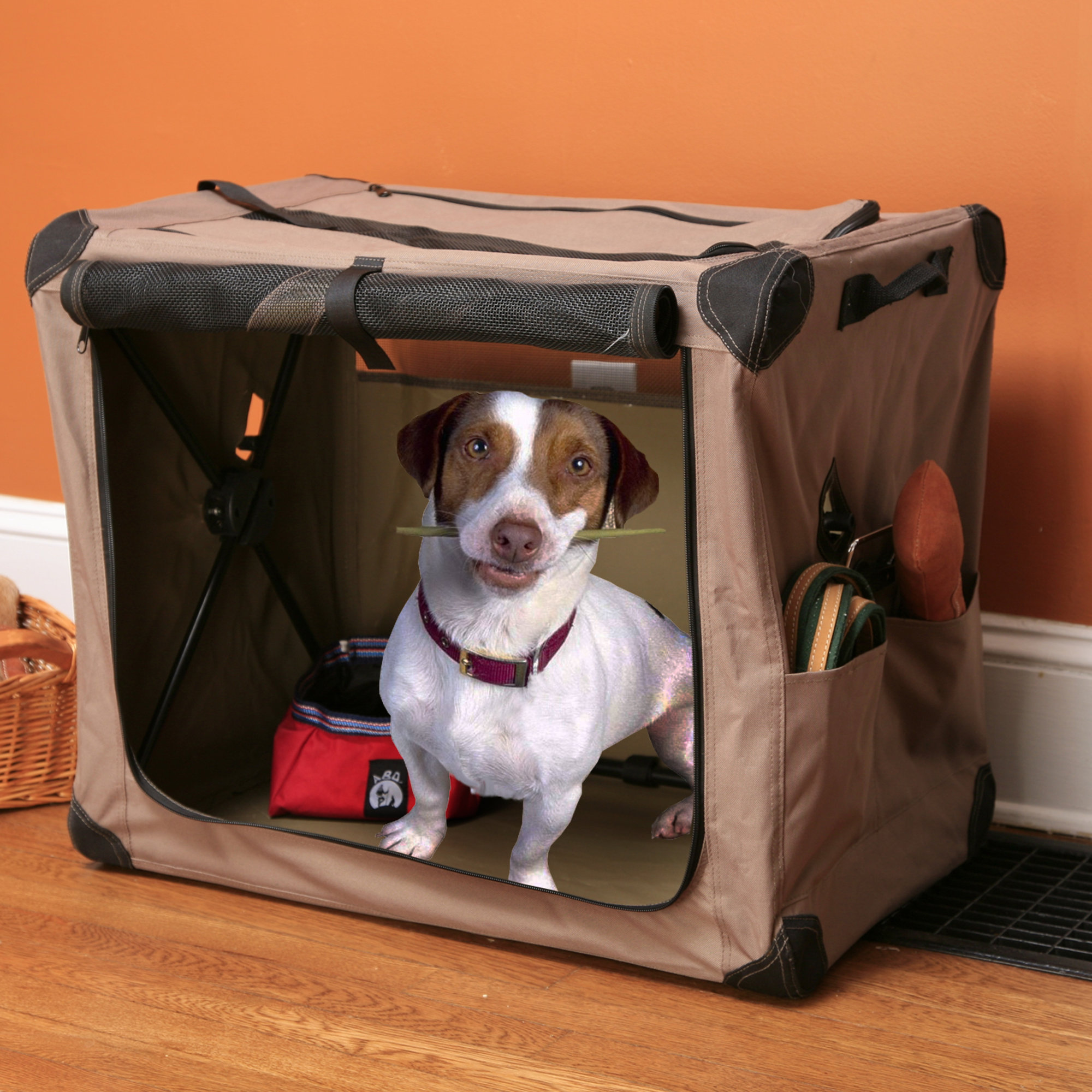 ABO Gear Digs Collapsible Pet Crate & Reviews Wayfair